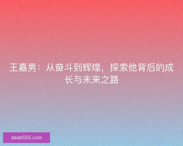 王嘉男：从奋斗到辉煌，探索他背后的成长与未来之路